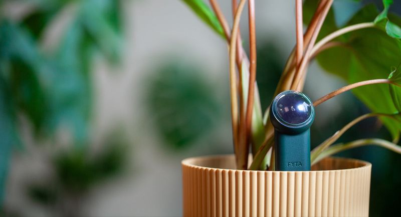 Receive Salinity Alerts For Container Gardens