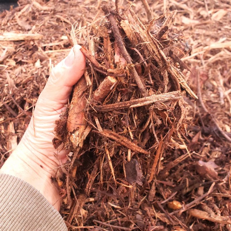 Create Wood Chip Mulch From Pruned Branches