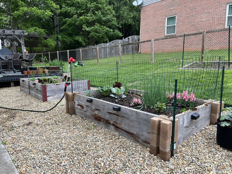 Raised Bed Misplacement