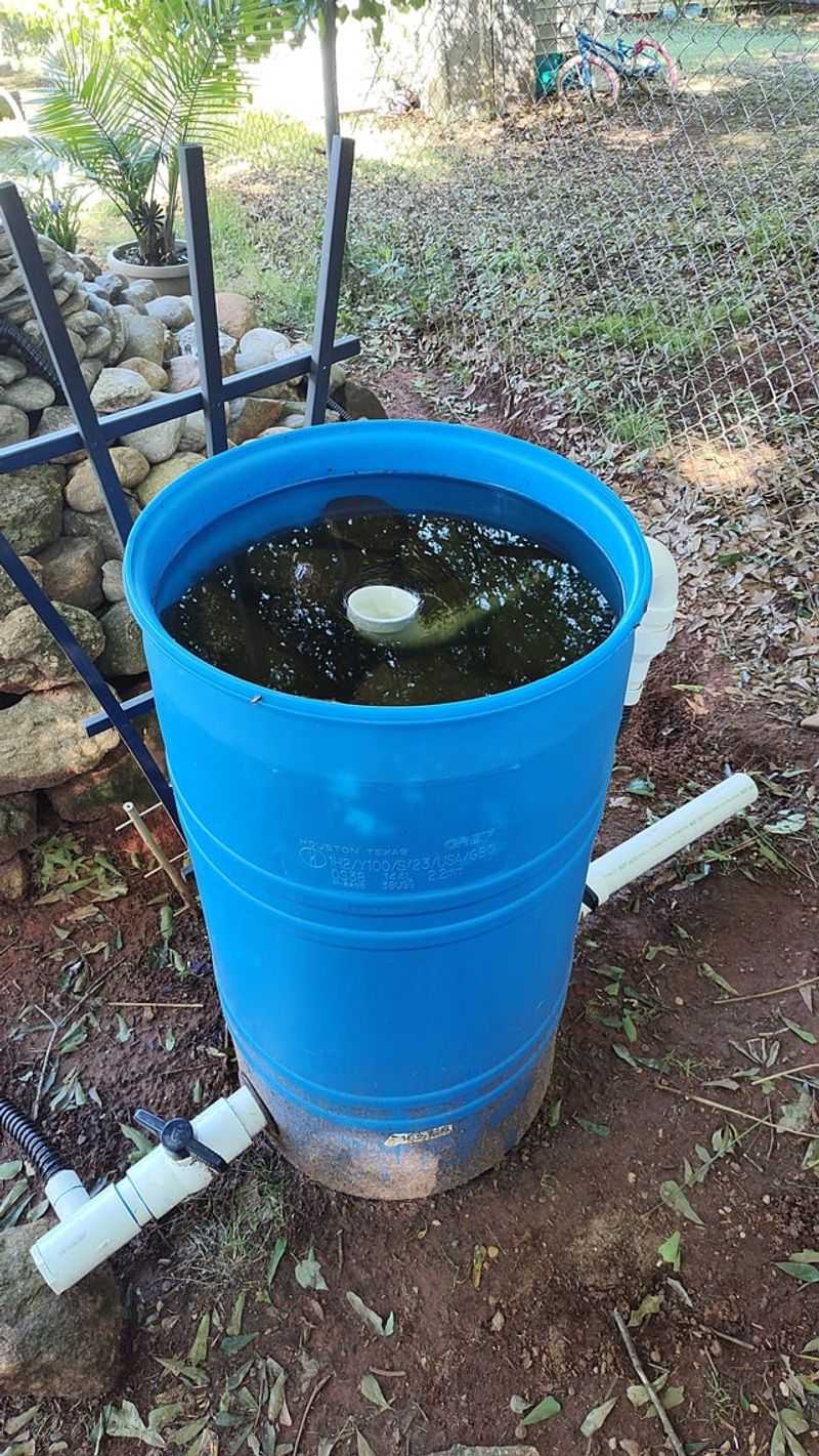 Clean Filters and Pumps