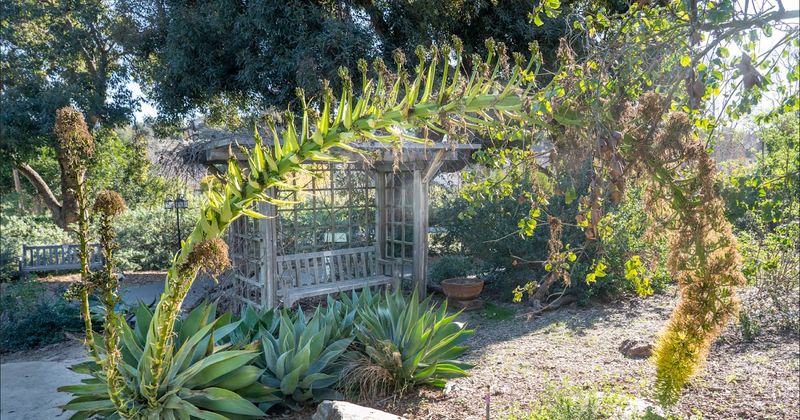 Australian Garden: Down Under Diversity