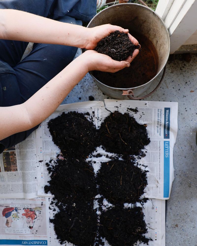 Harvest Your Compost