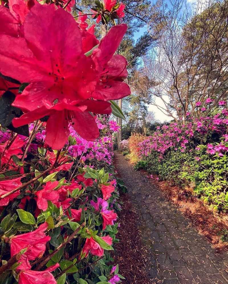 Southport's Maritime Gardens
