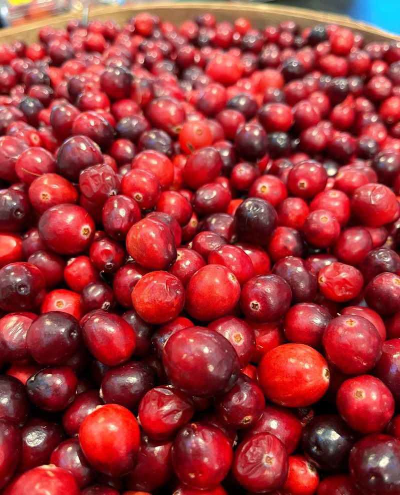 Cranberries: Maine's Red Gems