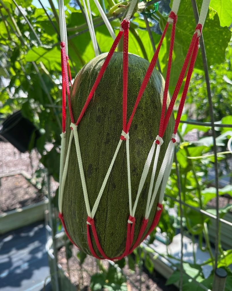 Bicycle Wheel Supports