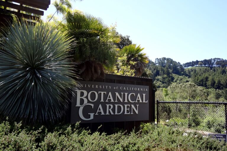 uc botanical garden berkeley california