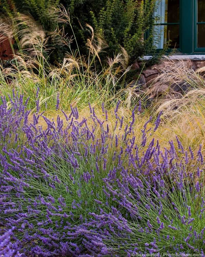 Mediterranean Collection Brings Europe To California