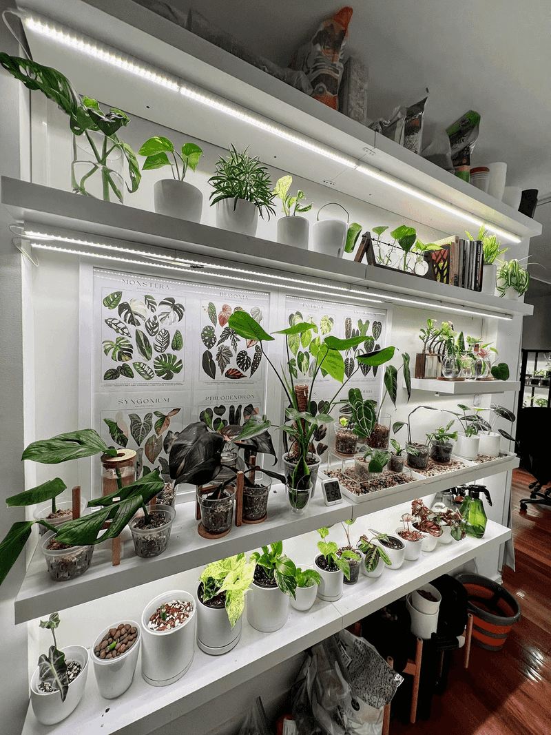Under-Cabinet Light Strip