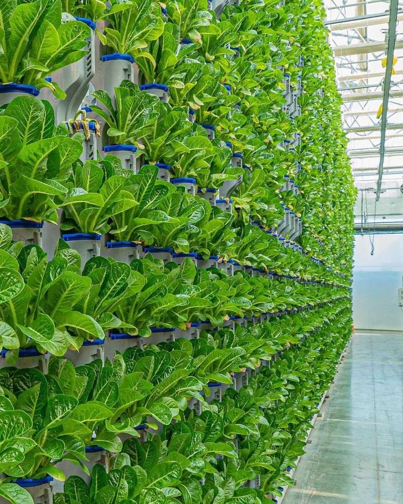 Vertical Farming with Climate Control