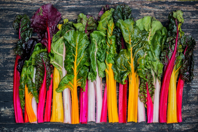 Fresh swiss rainbow chard (featured image)