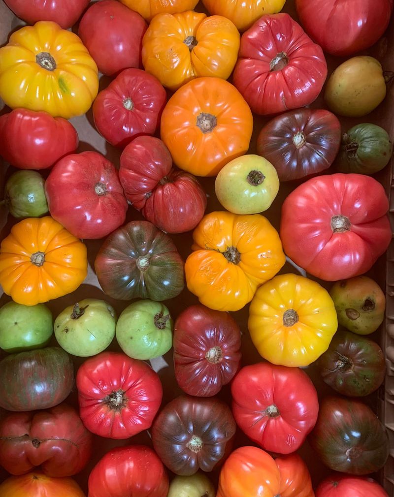 Heirloom Tomatoes