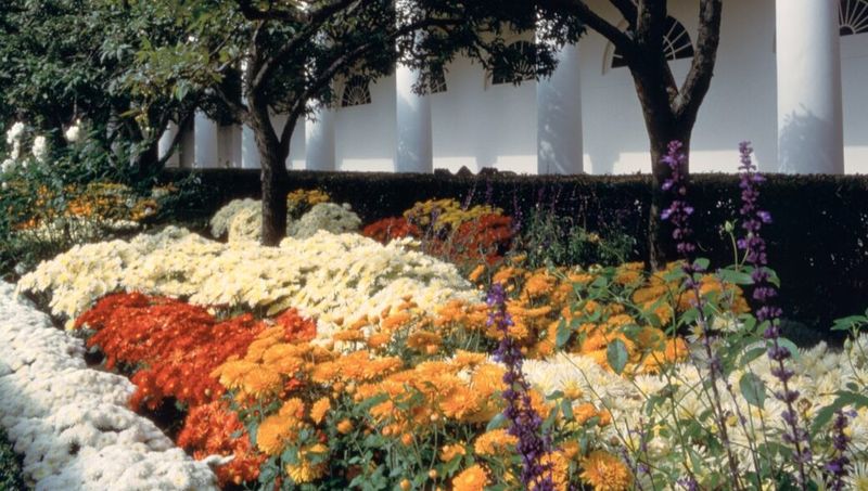 Presidential Plant Collections Tell White House Stories