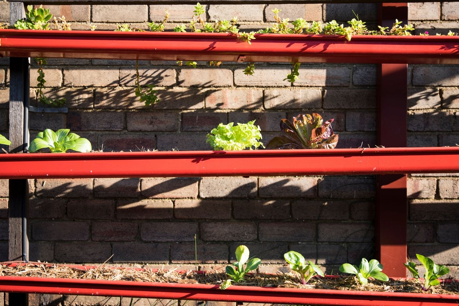 Unusual Garden Ideas That Solve Many Problems In Urban Areas