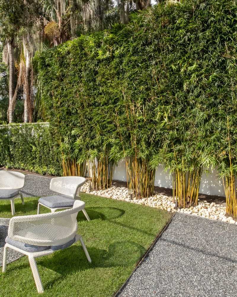 Bamboo Privacy Screens
