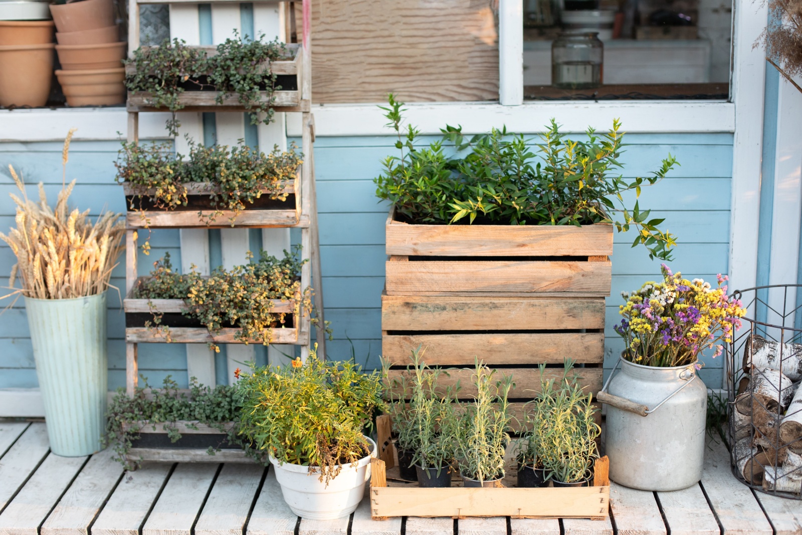 Urban Herb Garden Ideas You Could Try For Small Spaces In Chicago Illinois