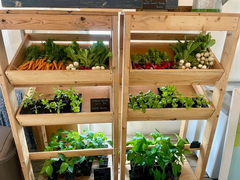 Vertical Pallet Gardens