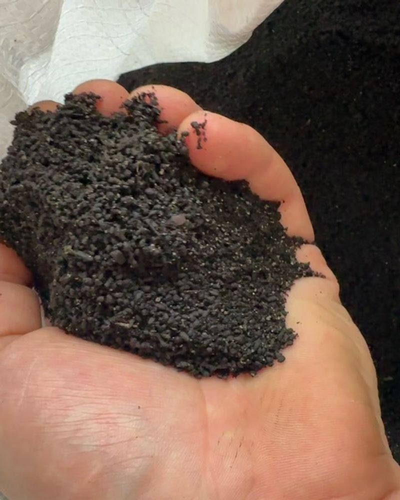 Chicago's Unique Microbe Magic