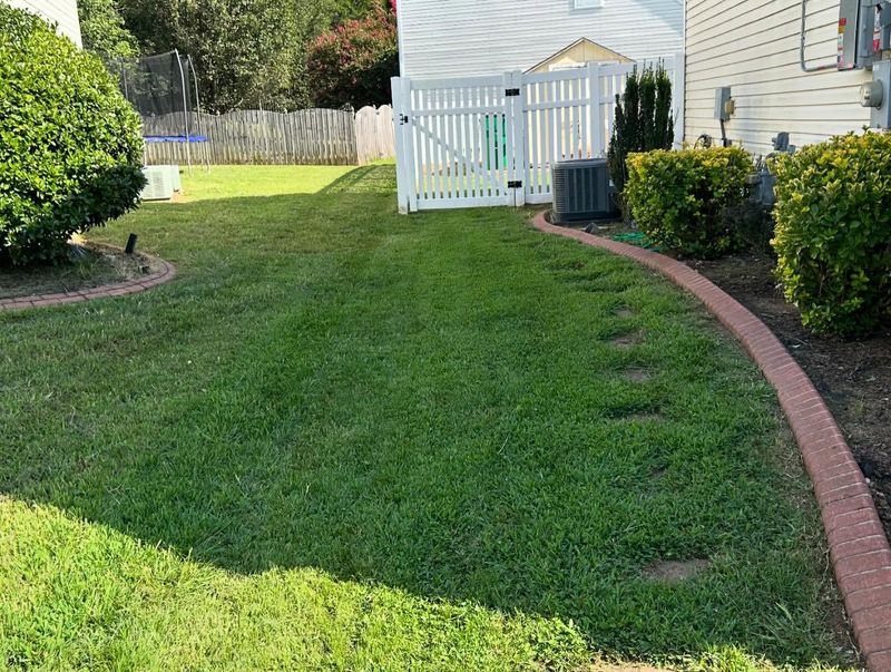Grade Your Yard Away From Structures