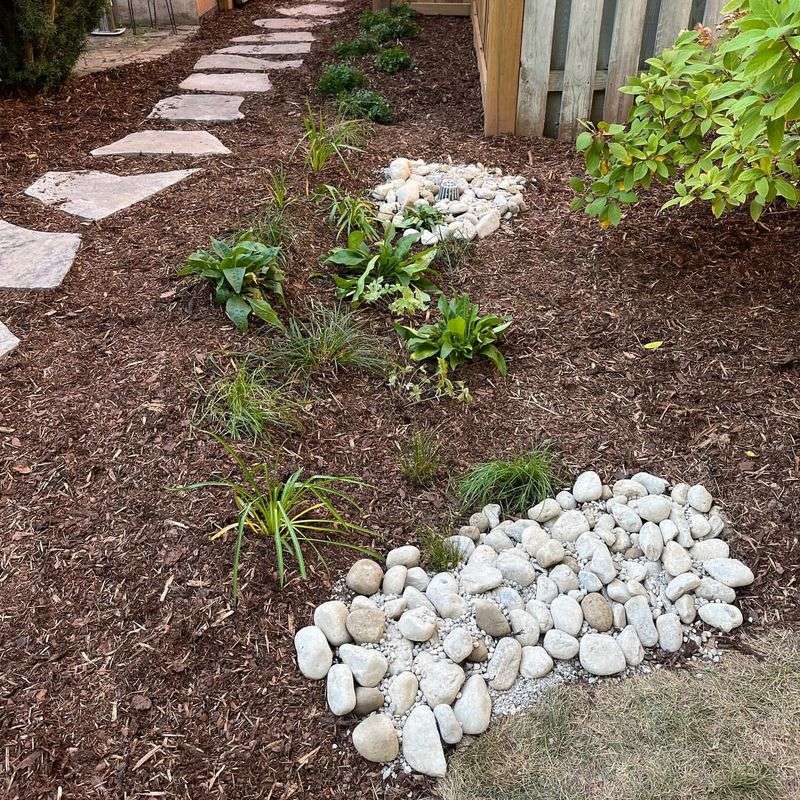 Layering Plant Heights For Effective Water Flow