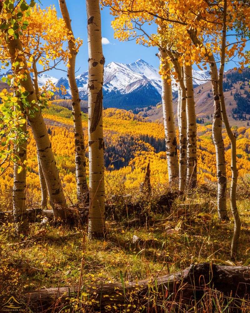 Ouray