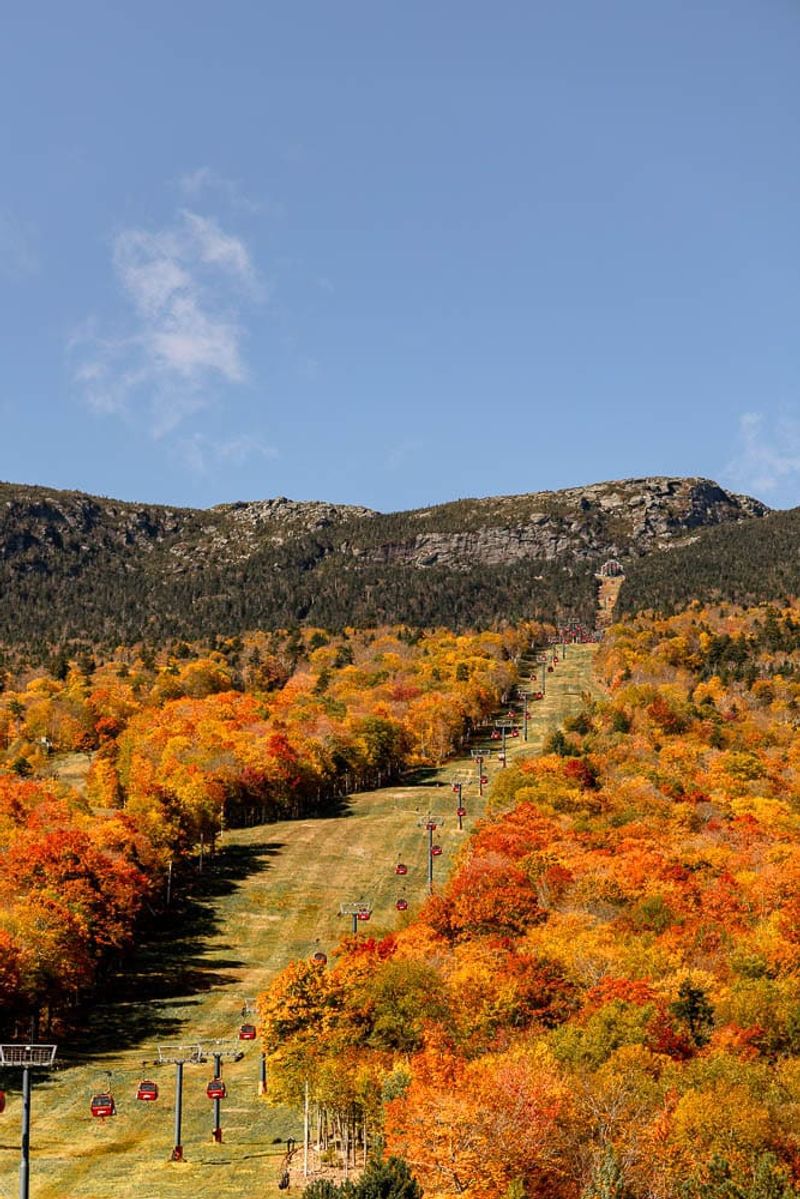 Stowe's Maple Corridor Awakens