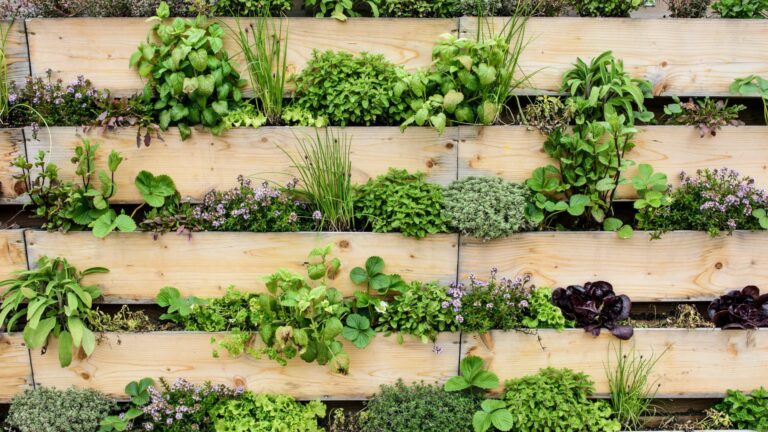 vertical garden