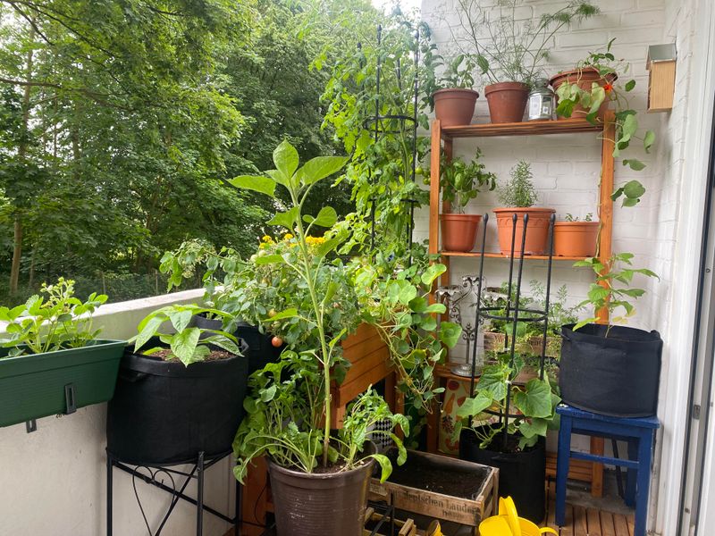 Form A Balcony Gardening Co-op With Neighbors