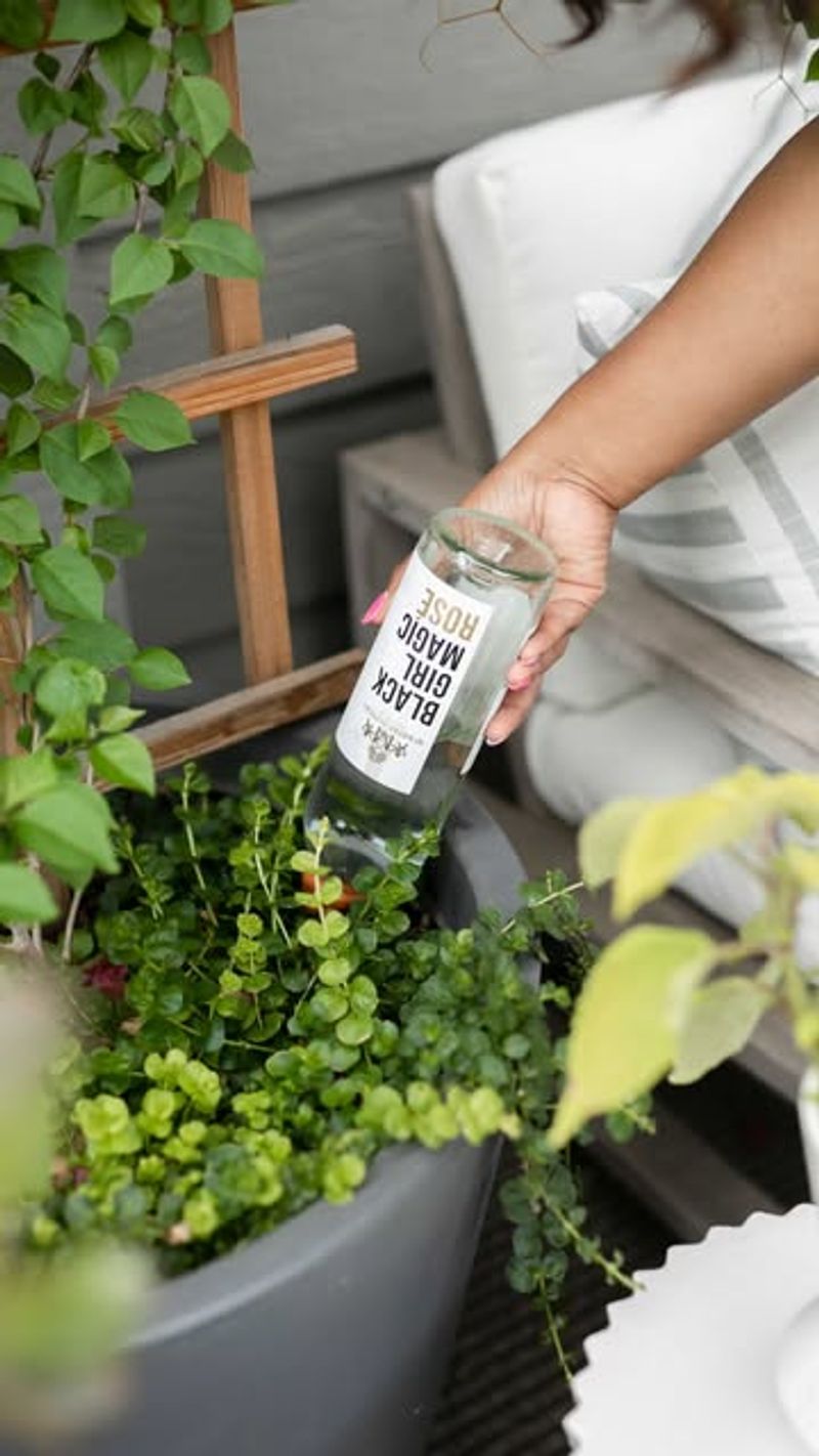 Buried Wine Bottle Watering