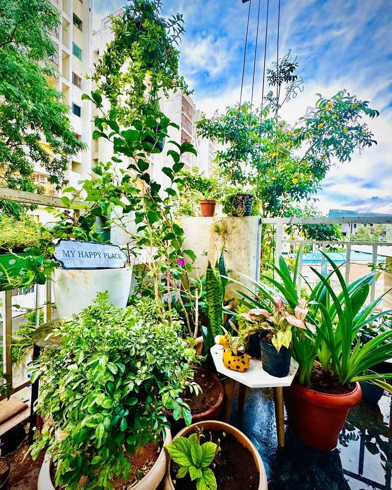 Rain-Loving Native Plants