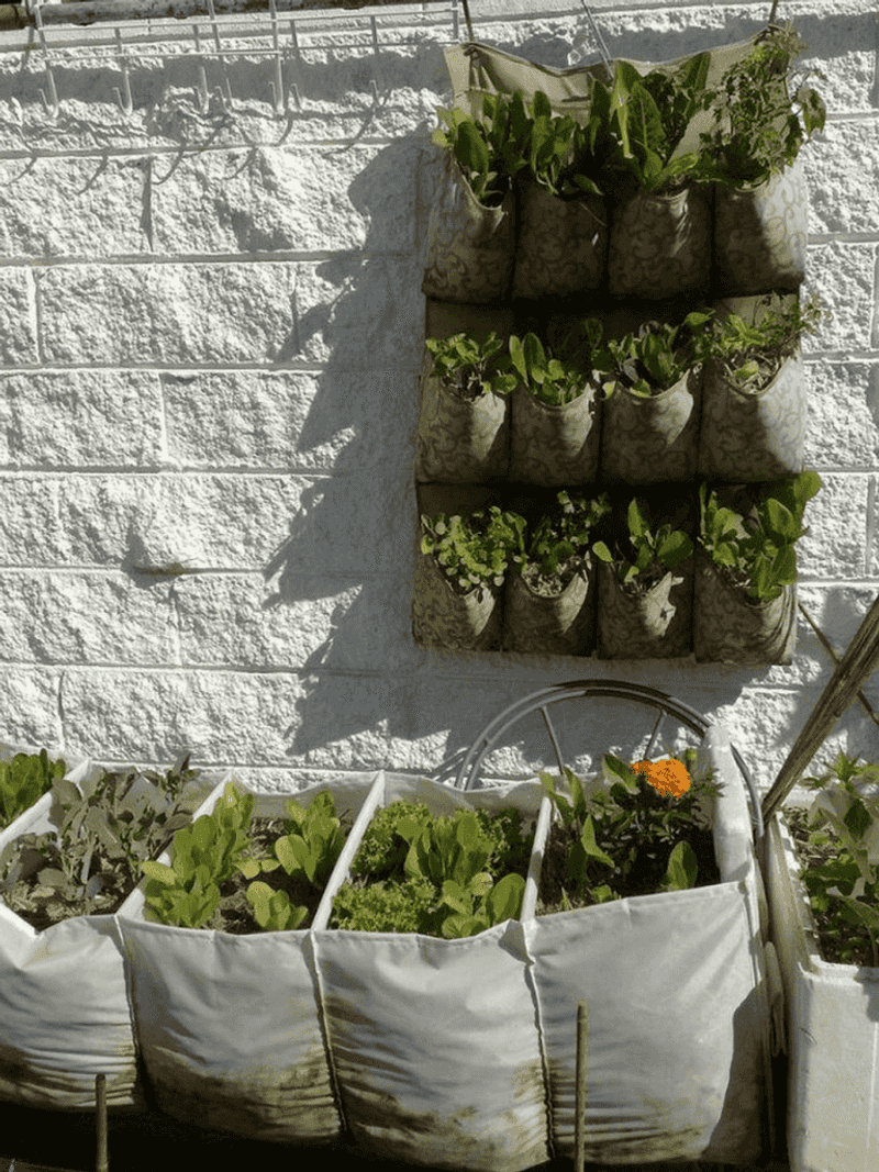 Shoe Organizer Herb Garden