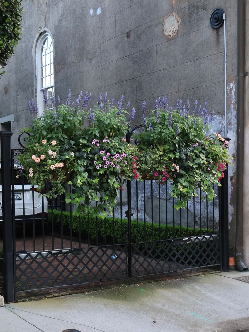 Fence-Mounted Window Boxes