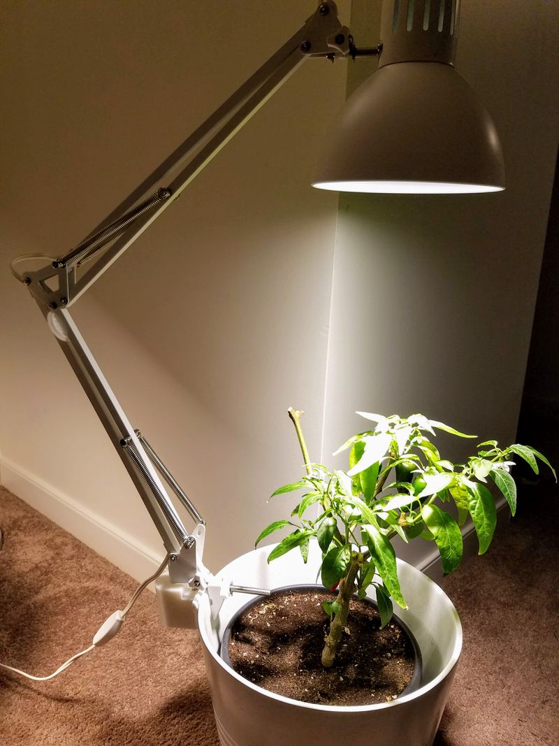 Solar-Powered Desk Lamp Grow Light