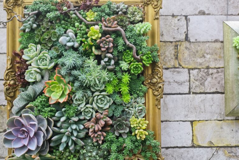 vertical succuent wall