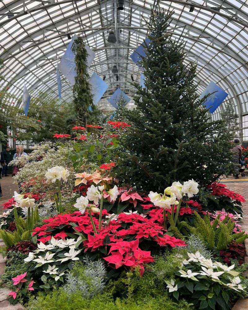 Seasonal Flower Shows
