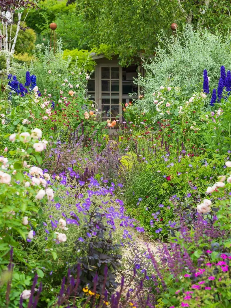 Fragrant Cottage Garden Borders