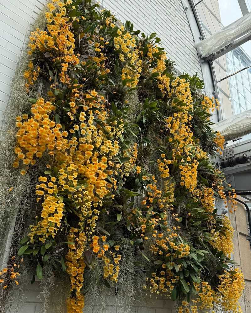 Conservation Gallery Chronicles Endangered Plant Rescue
