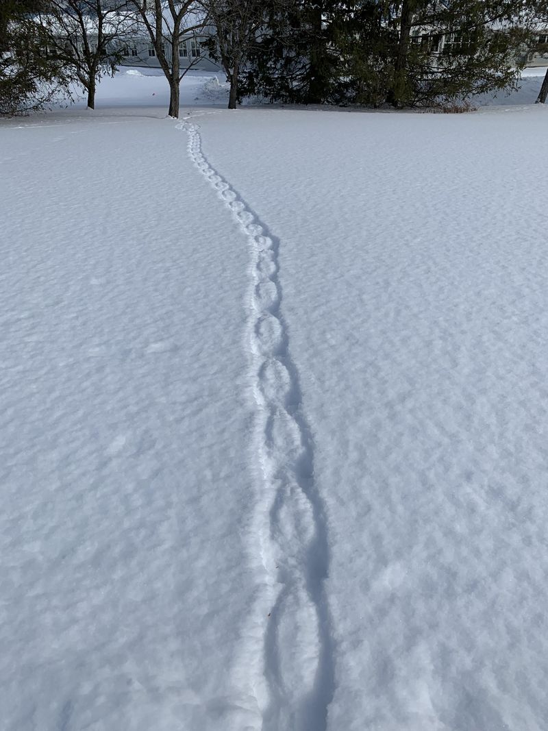 Learn Basic Track Identification Patterns