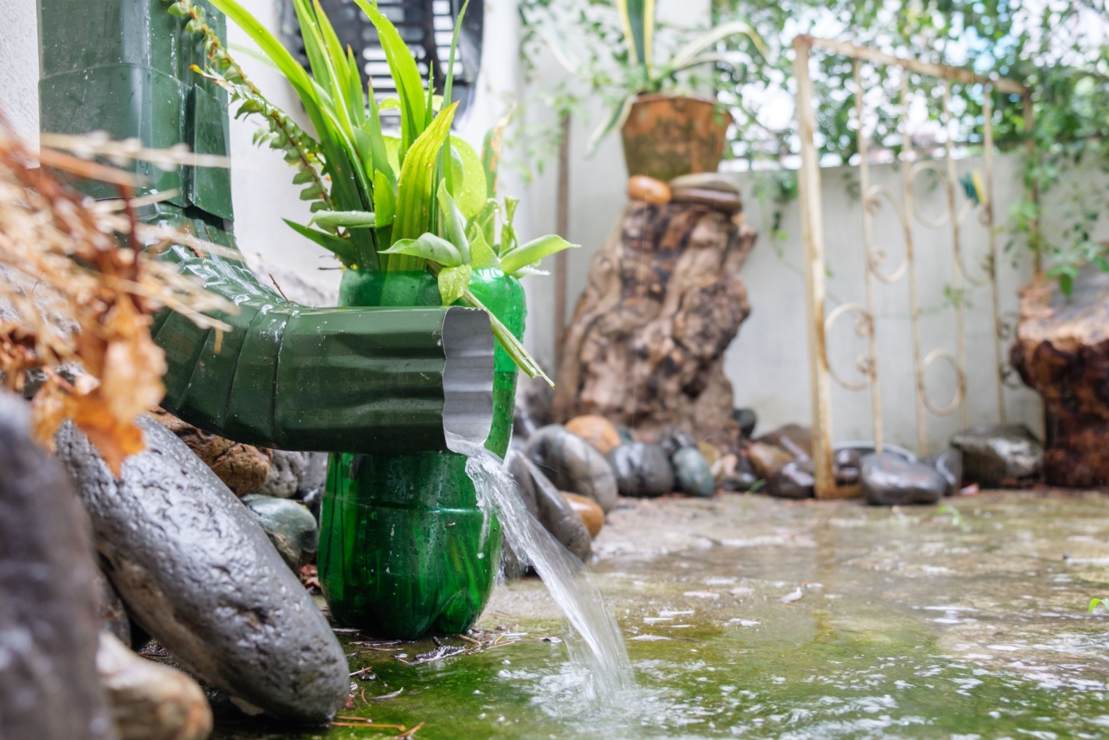 Washington Rain-Ready Garden Savings For Soil, Shrubs, And Drainage