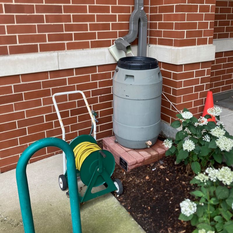 Collect And Use Rainwater