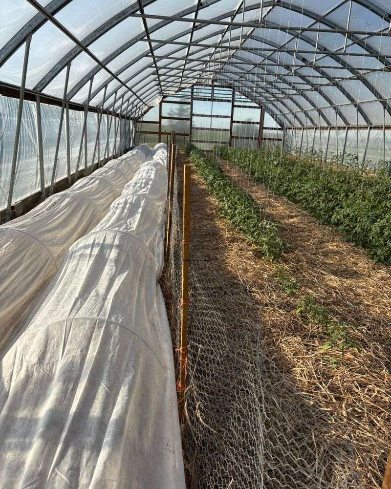 Create Physical Barriers With Row Covers