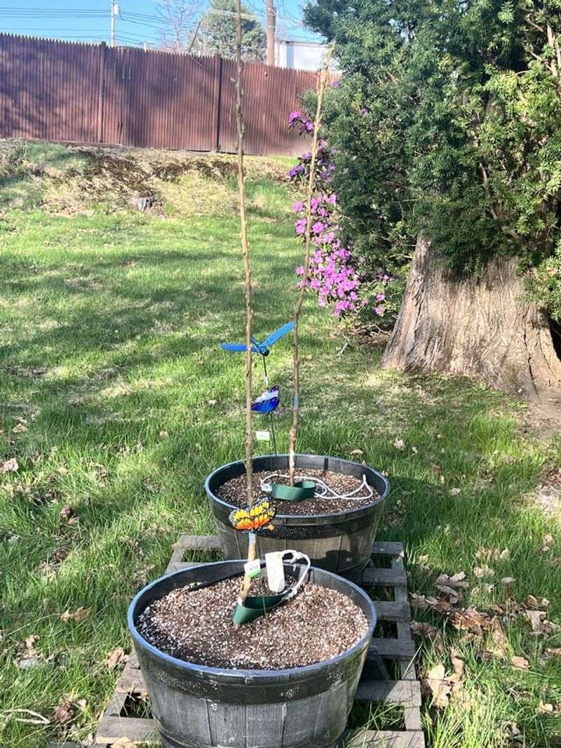 Climate-Specific Plant Care