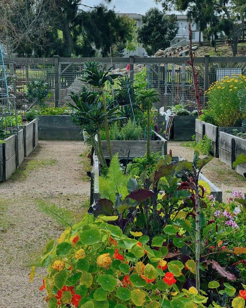 Community Garden Plots