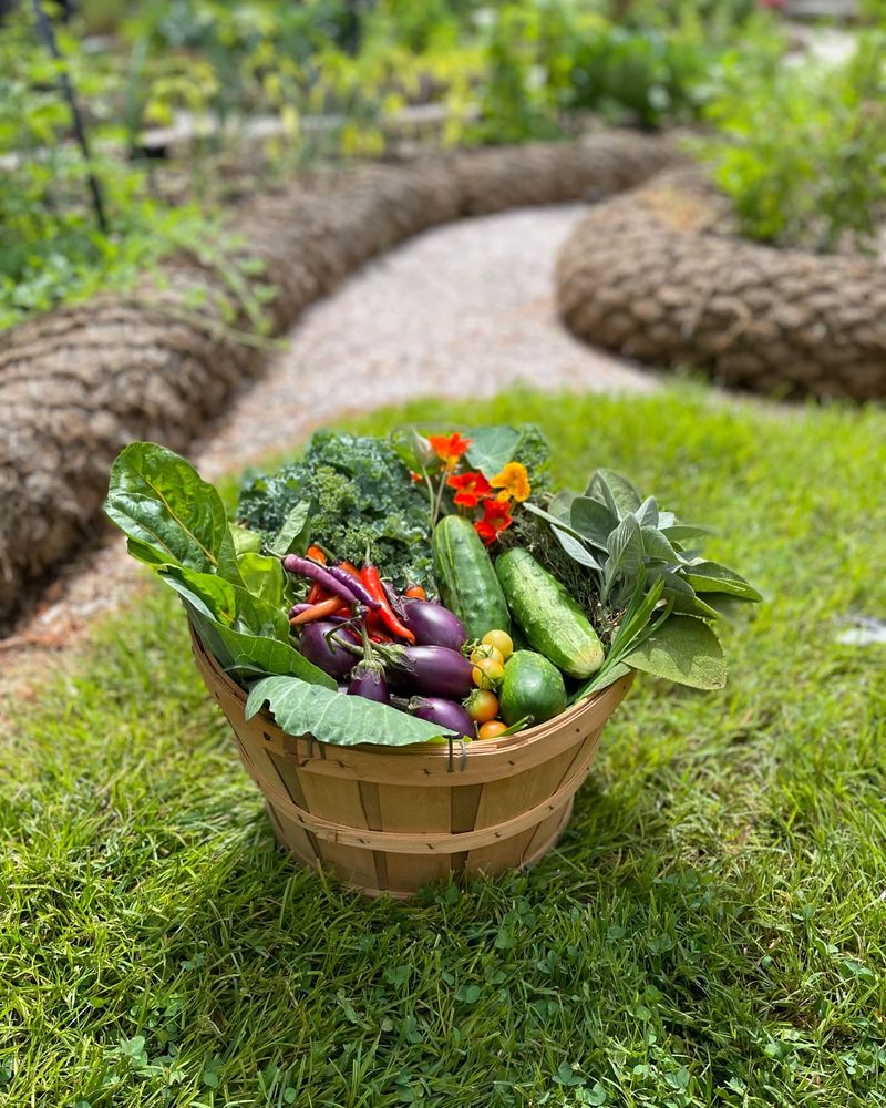 Mixed Edible Landscapes