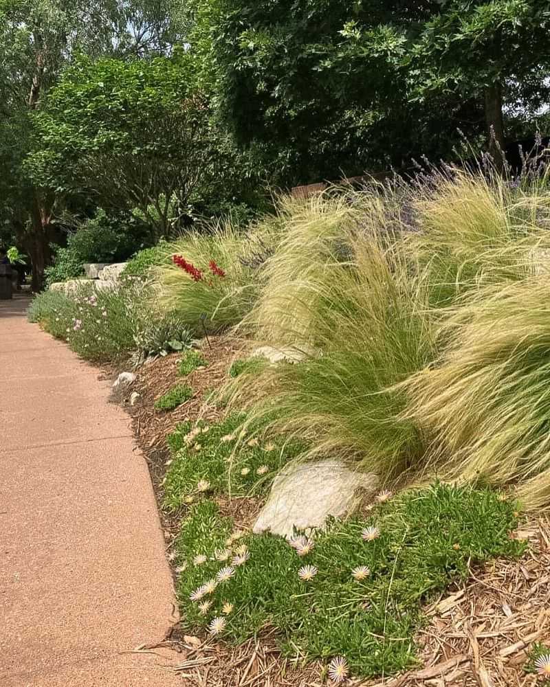 Create Shade With Strategic Planting