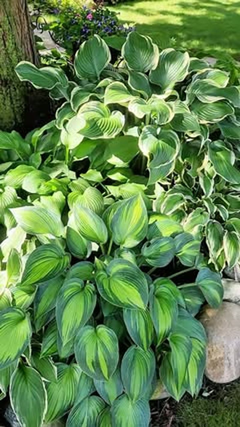 Fertilize Strategically For Our Growing Season