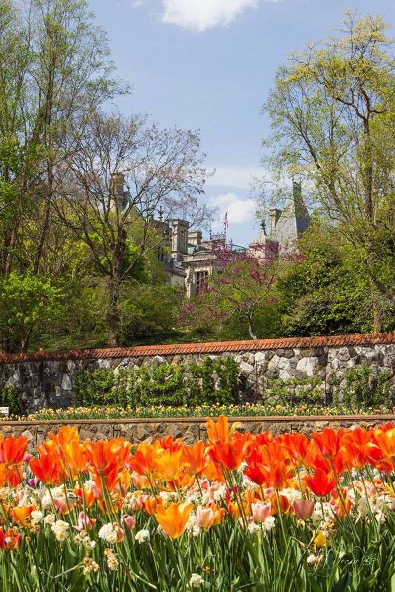 The Walled Garden's Hidden Symbolism