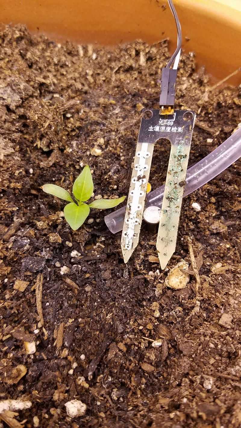 Soil Moisture Meters Made for Humid Climates