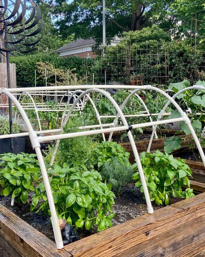 Hoop Houses From PVC Pipe