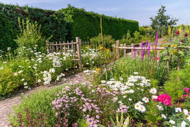 Manage Weeds In The First Two Years