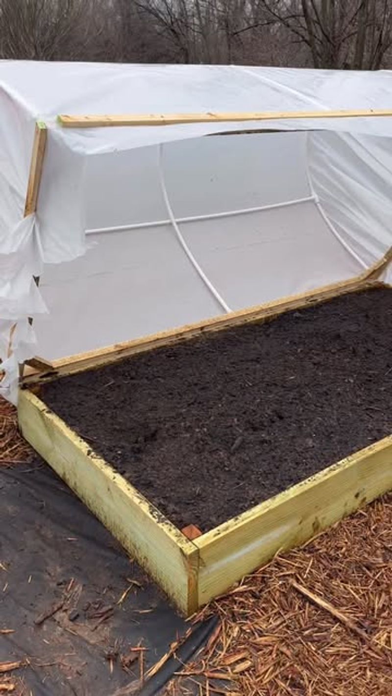 Cold Frame Construction